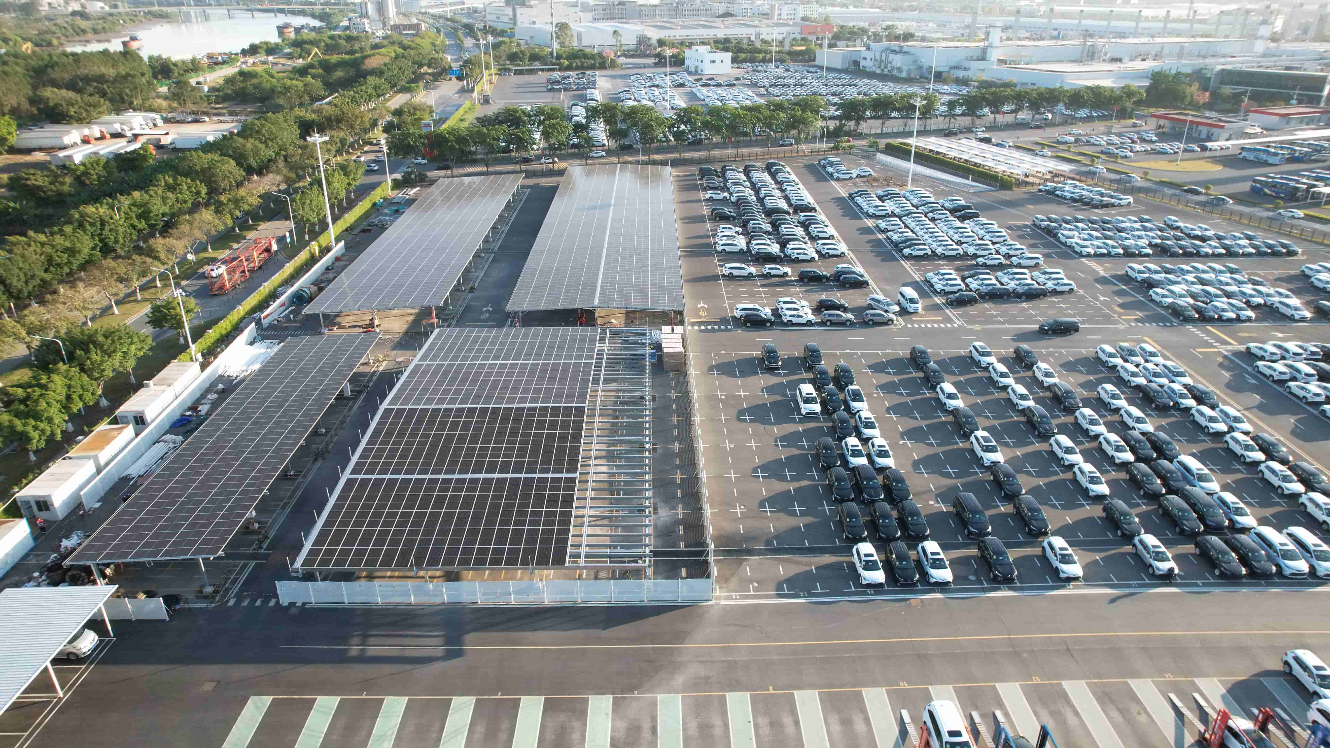 1734482738234970.jpg 08ad0ffea3aea25aeffcc62ac0c1df44__compressed.jpg