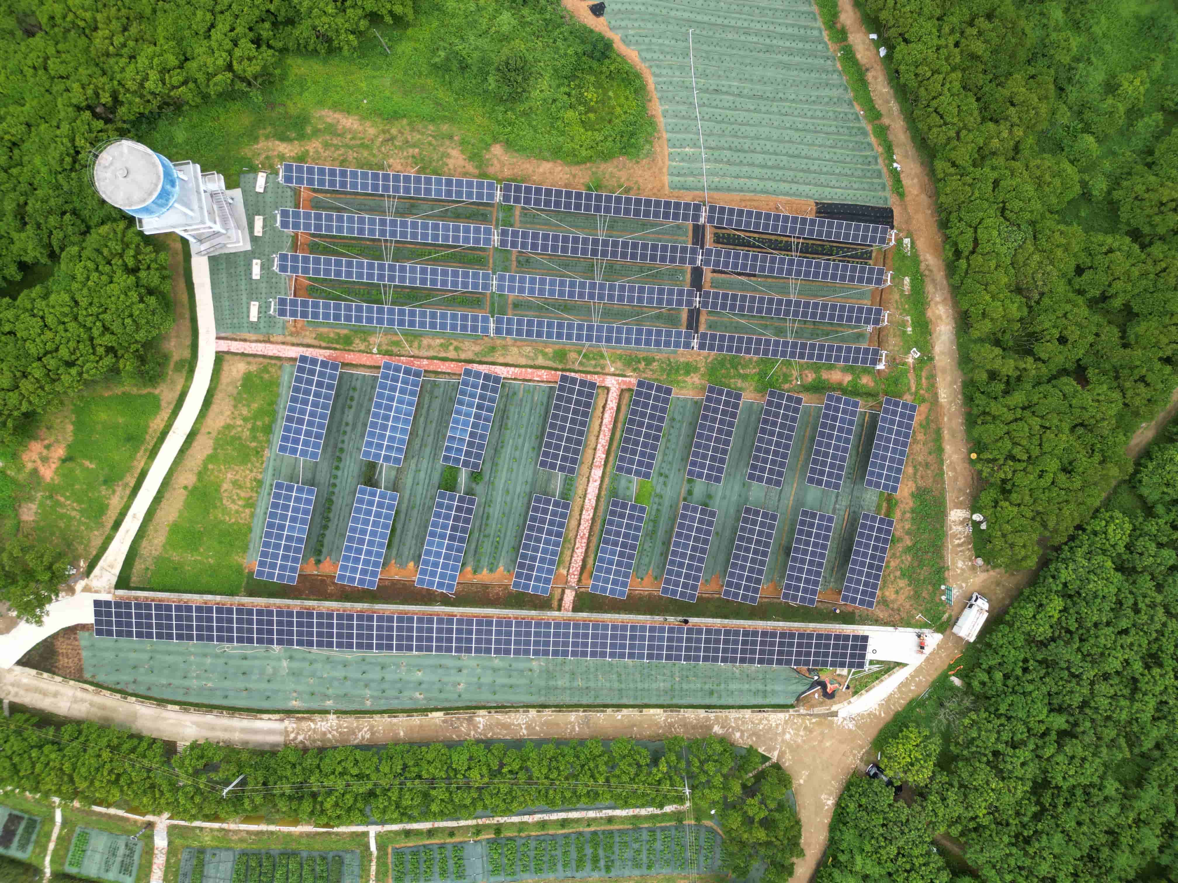 1734482750672893.jpg 111_compressed.jpg