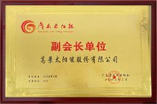 Honors Reflect Gokin