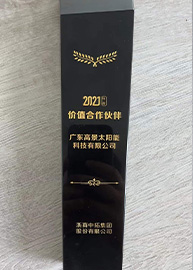 Honors Reflect Gokin