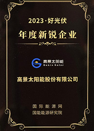 Honors Reflect Gokin