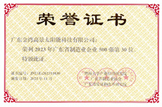 Honors Reflect Gokin