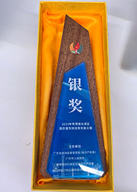 Honors Reflect Gokin