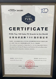 Honors Reflect Gokin