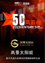 Honors Reflect Gokin