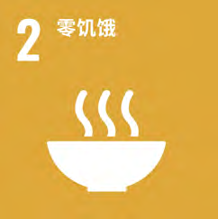 Strategie der nachhaltigen Entwicklung